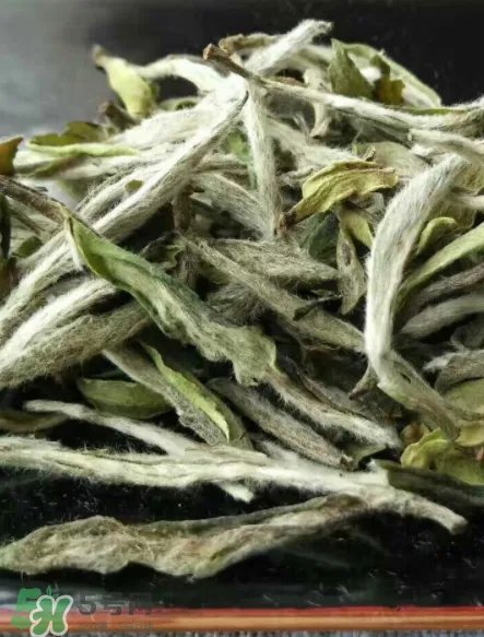 白毫银针的产地在哪个省?白毫银针是哪里产的?