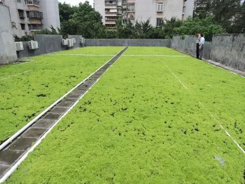 房顶隔热有哪些方法 5种便宜实用的房顶隔热方法推荐