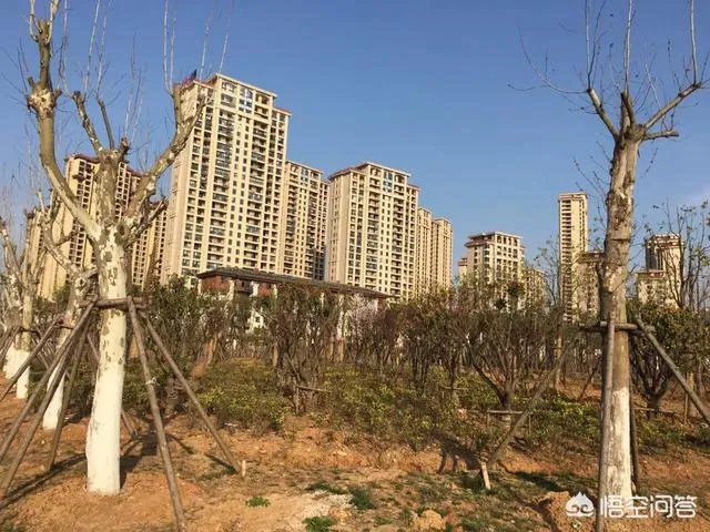 武汉白沙洲房子值得买吗