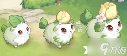 《奥比岛》阿尔佳亚怎么获得 阿尔佳亚获取攻略