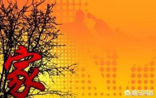 家是什么？能给个答案吗？