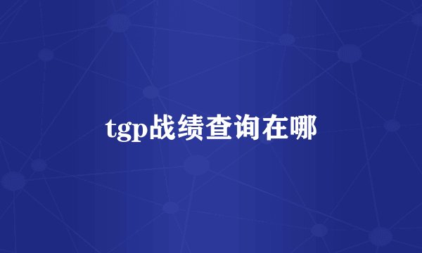 tgp战绩查询在哪