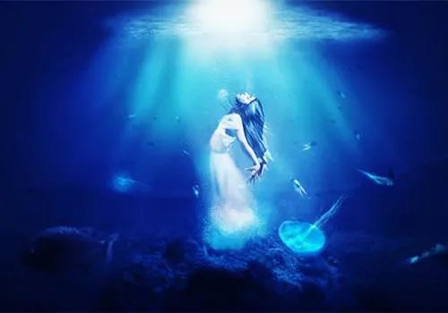 树叶贴画作品图片大全