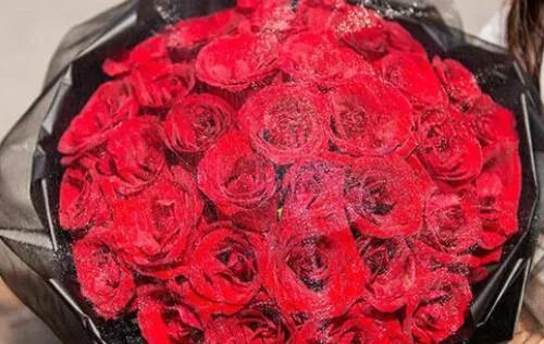 16朵玫瑰花代表什么意思 送玫瑰花代表什么