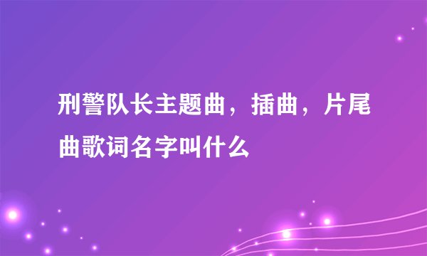 刑警队长主题曲，插曲，片尾曲歌词名字叫什么