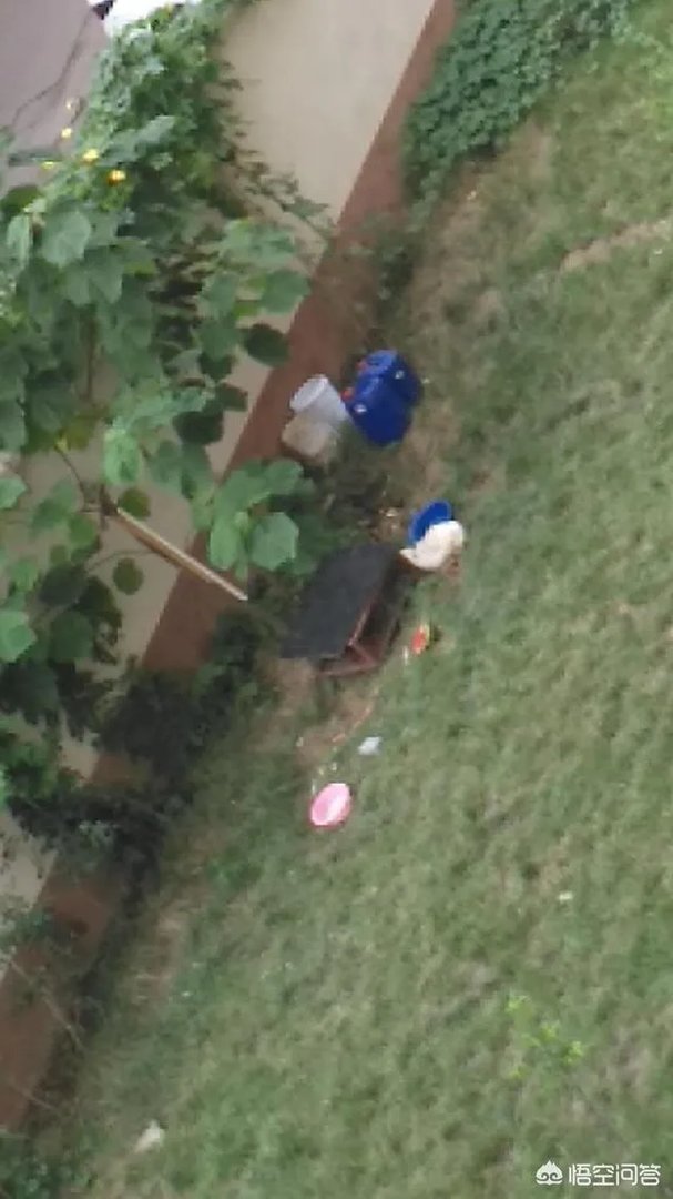 洛阳市有哪些知名小区