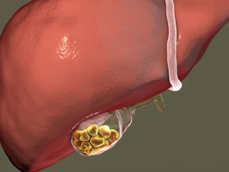 乙肝病毒携带者能生孩子吗