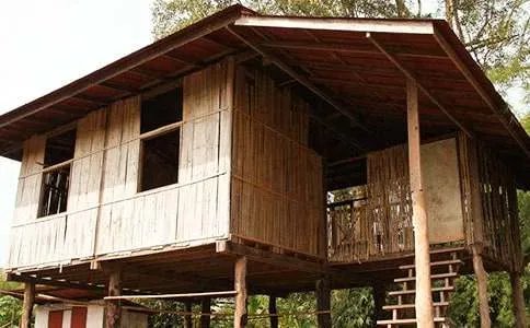 树上的房子随笔散文