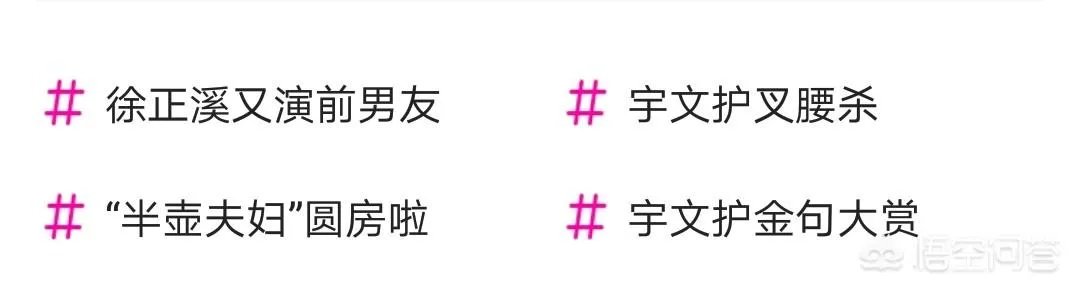 如何评价独孤天下？