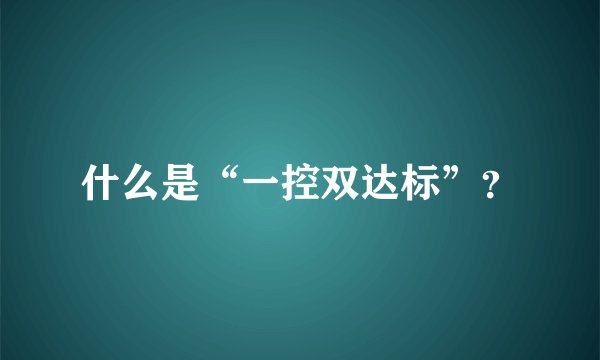 什么是“一控双达标”？