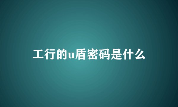 工行的u盾密码是什么