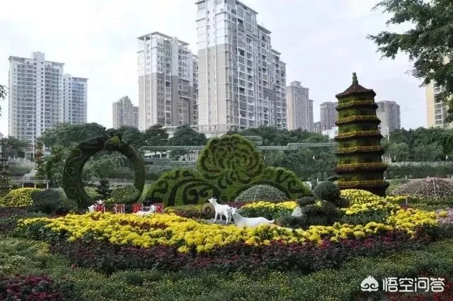 怎么做农产品推广?