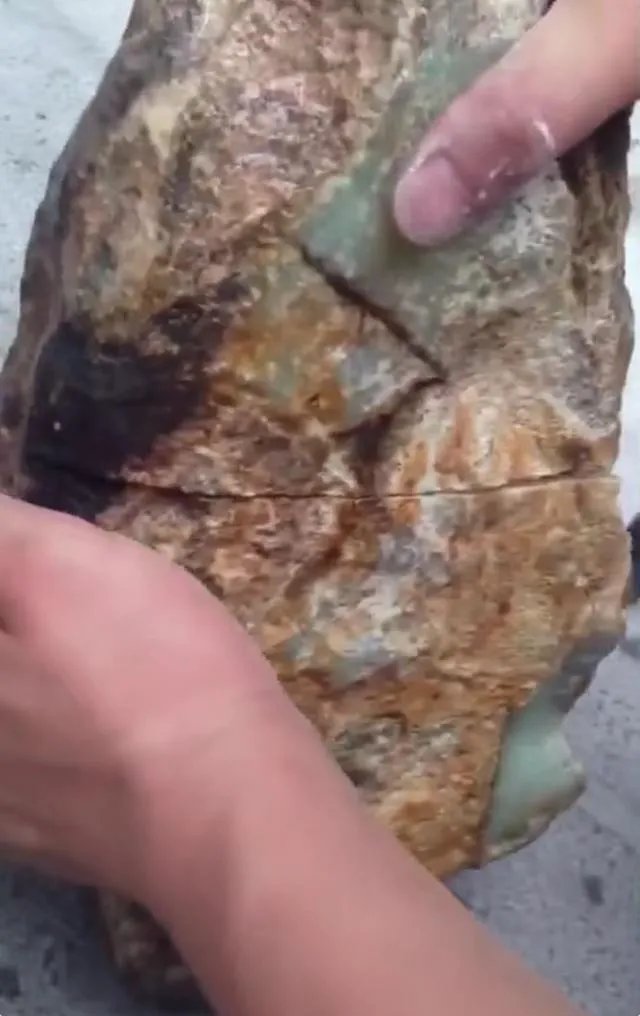 一手兽指的是什么意思？