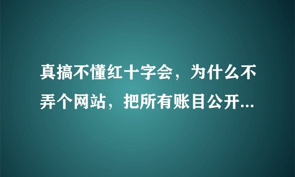 真搞不懂红十字会，为什么不弄个网站，把所有账目公开让网友查询不就好了么。