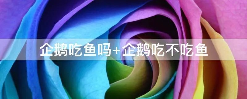 企鹅吃鱼吗 企鹅吃不吃鱼