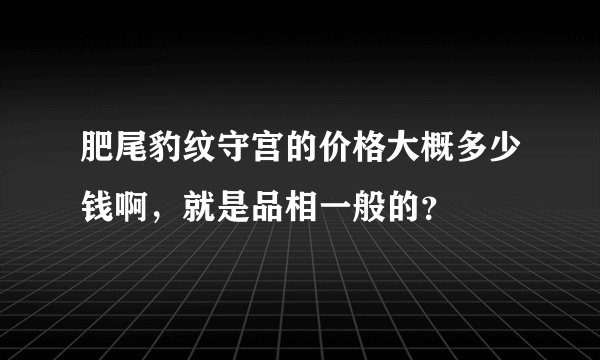 肥尾豹纹守宫的价格大概多少钱啊，就是品相一般的？
