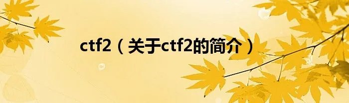 ctf2（关于ctf2的简介）