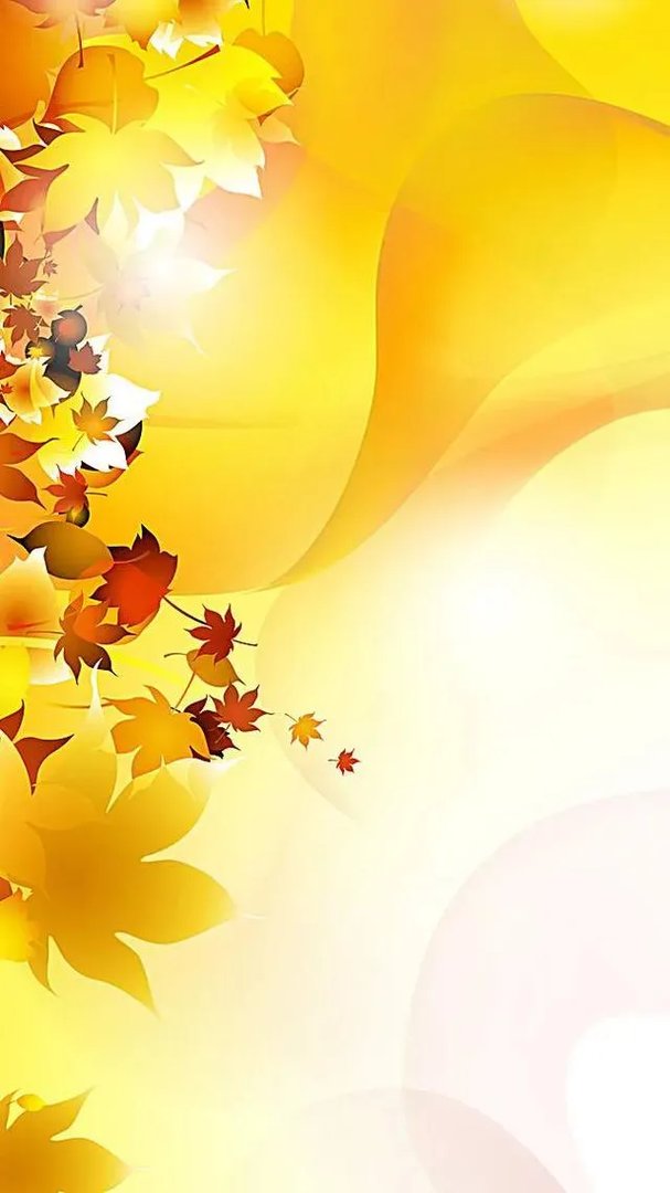 金色枫叶代表什么意思