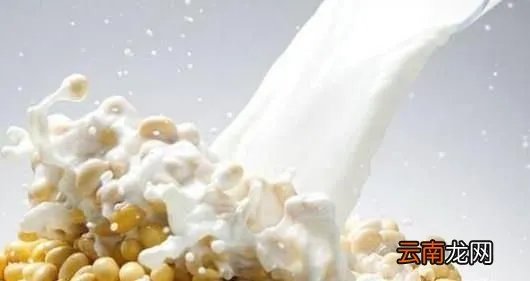 如何选购豆浆机？如果正确选购一台豆浆机