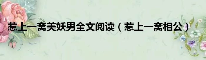 惹上一窝美妖男全文阅读（惹上一窝相公）