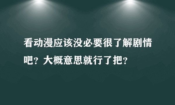 看动漫应该没必要很了解剧情吧?大概意思就行了把?