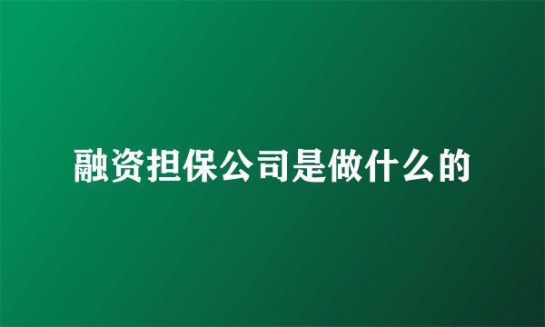 融资担保公司是做什么的