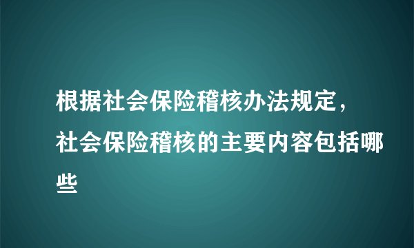 根据社会保险稽核办法规定,社会保险稽核的主要内容包括哪些