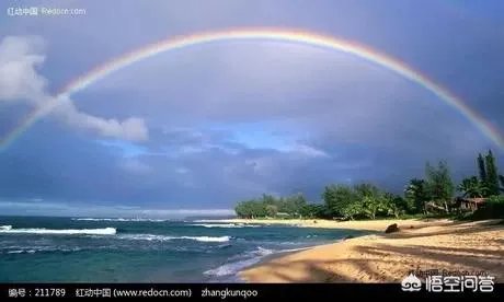 用一句话形容妈妈与爸爸的爱情?