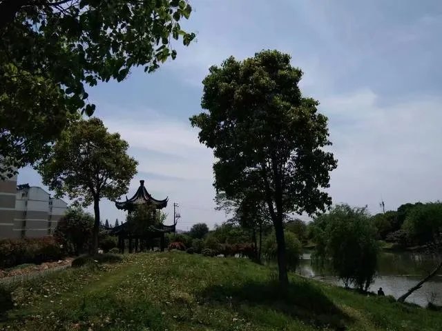 你在池州多久了，觉得生活幸福吗？