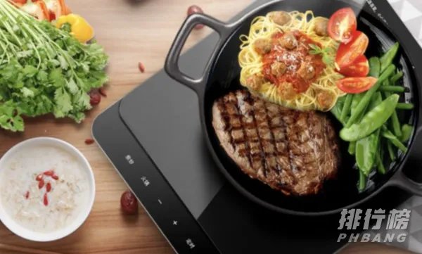 电磁炉哪个牌子好_电磁炉品牌十大排行榜