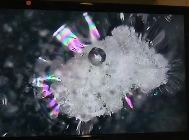 欧洲大型强子对撞机到底有什么用？