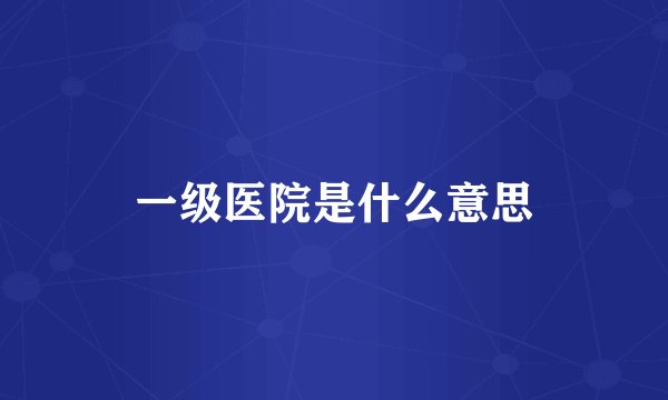 一级医院是什么意思