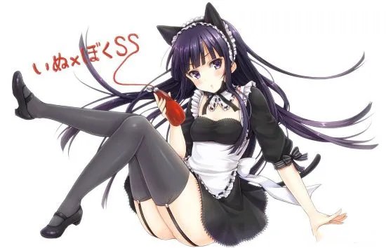 2012冬季新番 十大最受期待“同人”女角色