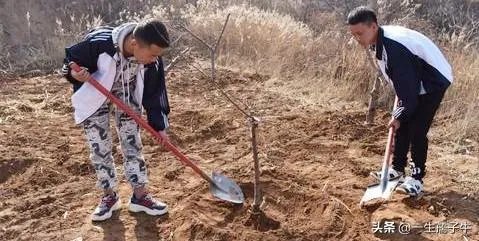 温儒敏教授对一次作文赛点评说小学生作文“元气淋漓