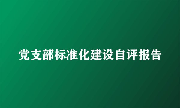 党支部标准化建设自评报告