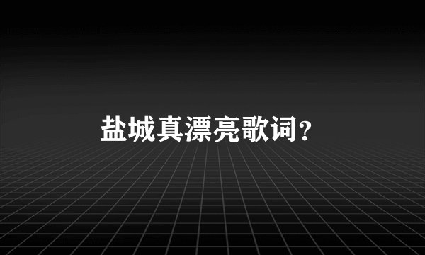 盐城真漂亮歌词？