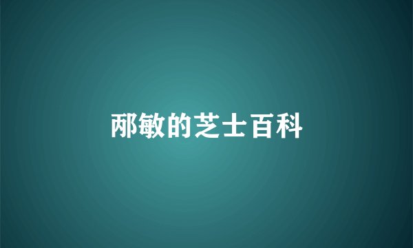 邴敏的芝士百科