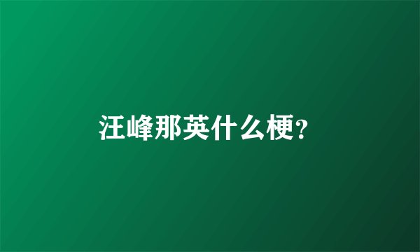 汪峰那英什么梗？