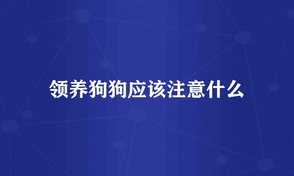 领养狗狗应该注意什么