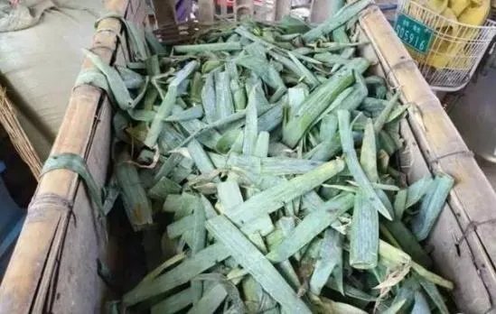 为什么说百只羊是吃毒大葱死亡的呢?