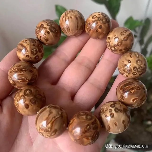 贵州深山的“龙吟”声是什么回事?真的是有不明大型动物未发现吗?