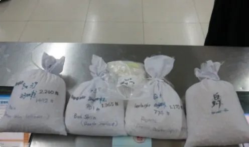 深圳截获砗磲宝石怎么处理的?