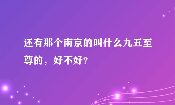 还有那个南京的叫什么九五至尊的，好不好？