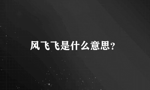 风飞飞是什么意思？