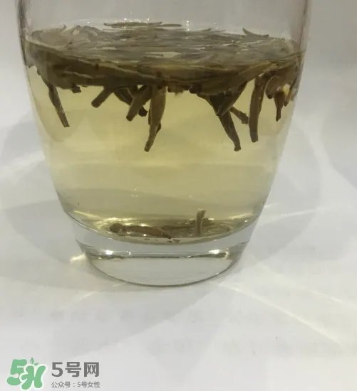 白毫银针的产地在哪个省?白毫银针是哪里产的?