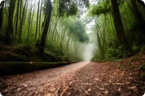 高克重是什么意思