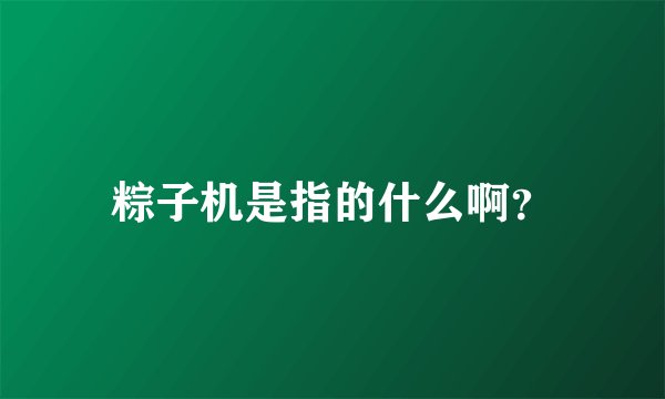 粽子机是指的什么啊？