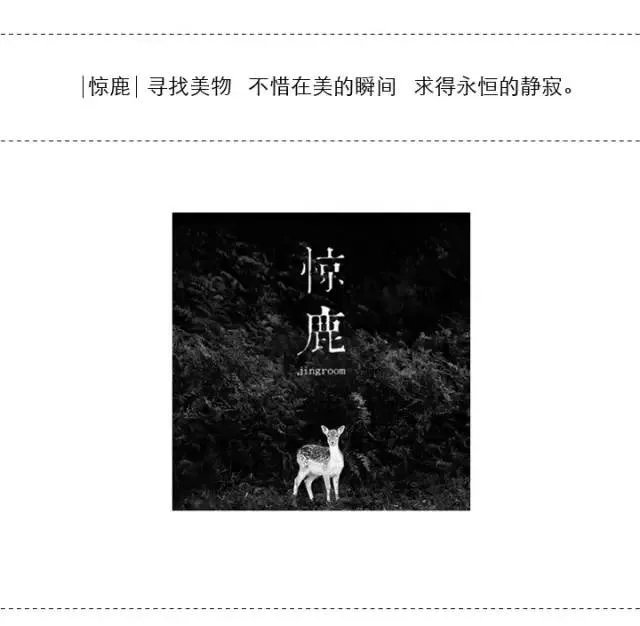 艺术 I 寻找真发现美 【画家-无差别】