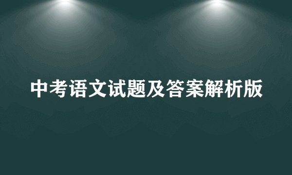 中考语文试题及答案解析版