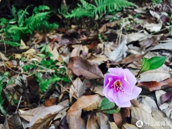 修飞机人周末好去处：高百丈风景区羊石水库